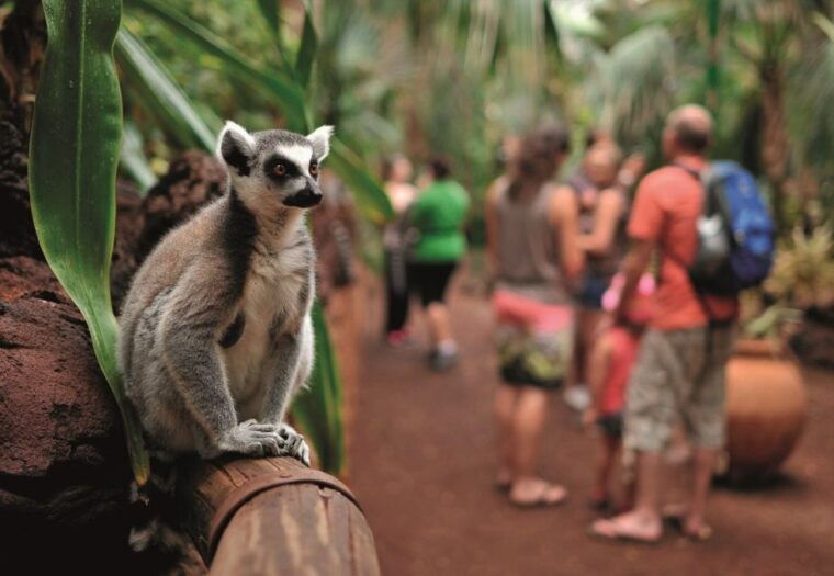 fuerteventura-oasis-wildlife-entry-ticket