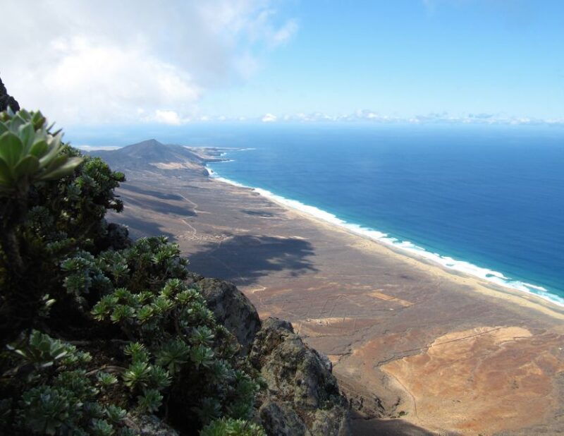 fuerteventura-pico-de-la-zarza-tour