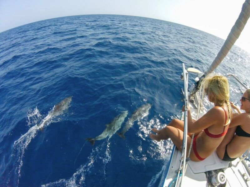 fuerteventura-sailing-with-snorkeling-and-dolphin-watching
