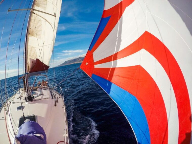 fuerteventura-sailing-with-snorkeling-and-dolphin-watching