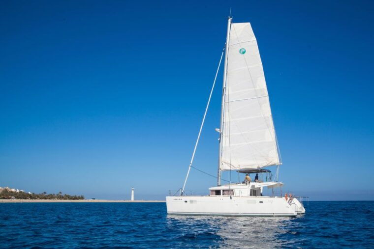 fuerteventura-small-group-magic-deluxe-catamaran-cruise-2