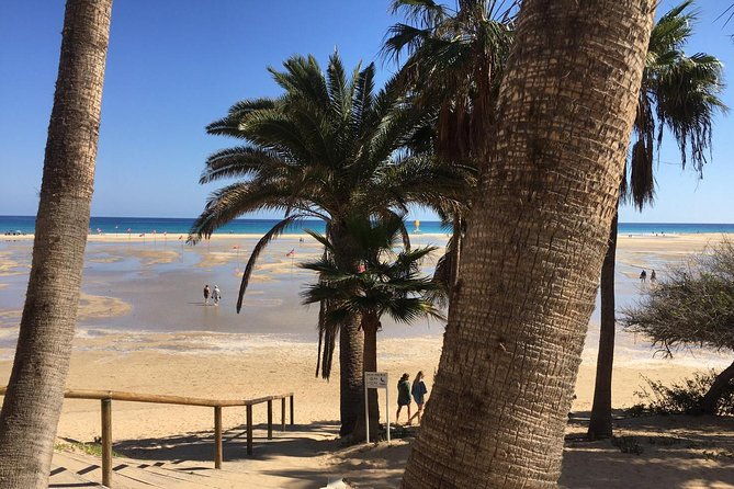 fuerteventura-south-exclusive-tour