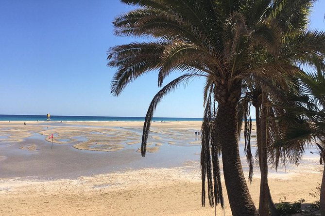 fuerteventura-south-exclusive-tour