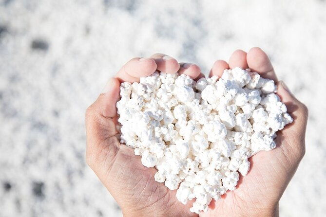 fuerteventura-the-panoramic-experience-all-highlights-in-1-day