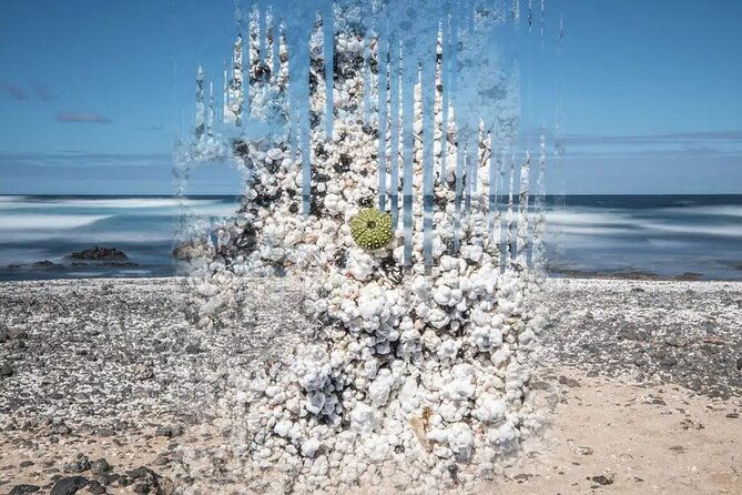 fuerteventura-the-panoramic-experience-all-highlights-in-1-day