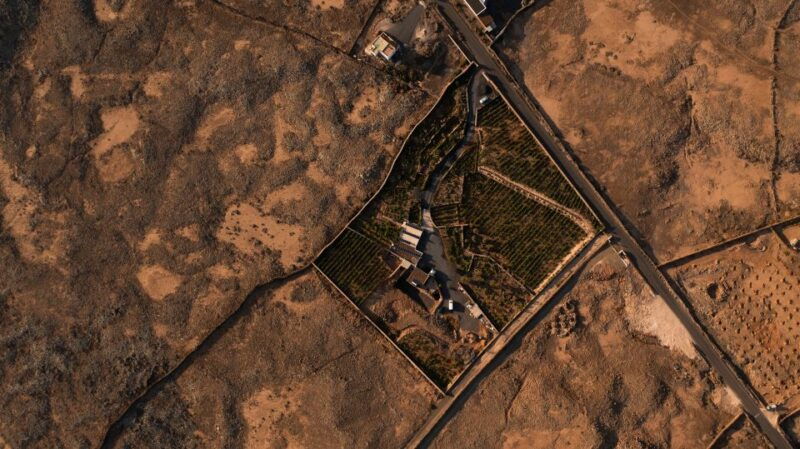 fuerteventura-tour-of-bodega-conatvs-vineyard-with-tasting