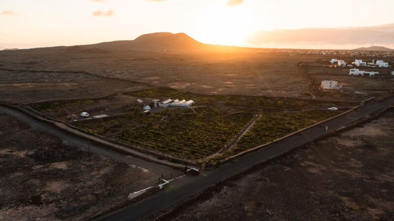 Fuerteventura: Tour & tasting at Conatvs Winery - Frequently Asked Questions