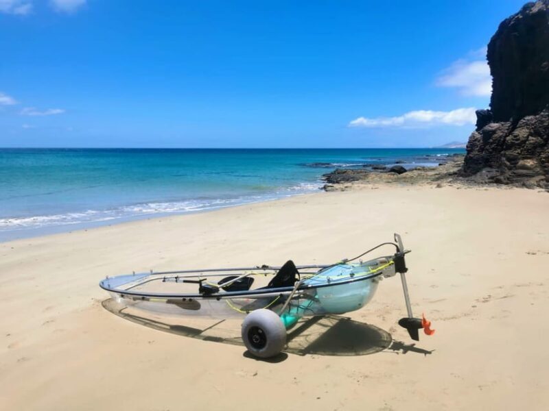 Fuerteventura: Transparent Electric Kayaks with Guide - Who Will Love This Tour?