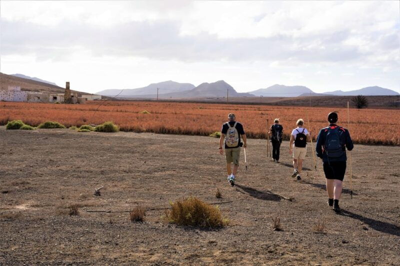 fuerteventura-volcanic-hike-to-the-crater-edge