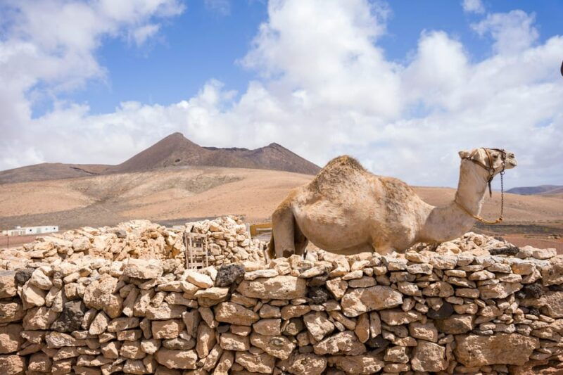 fuerteventura-volcanic-hike-to-the-crater-edge