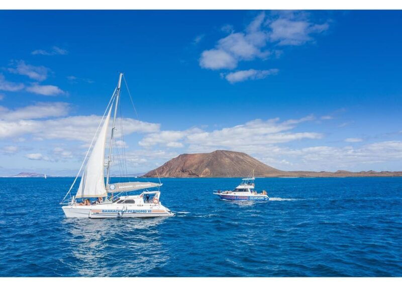 fuerteventura-whale-dolphin-watching-boat-tour-with-guide