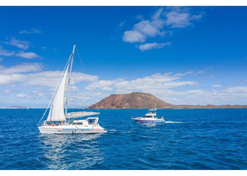 fuerteventura-whale-dolphin-watching-boat-tour-with-guide