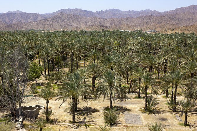 Fujairah Full-Day Tour from Dubai With Spanish-Speaking Guide - FAQ
