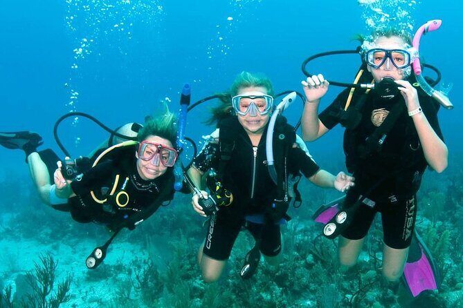 Fujairah: PADI Basic Scuba Diver Course - Key Points