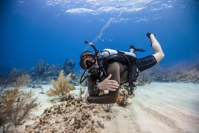 Fujairah: PADI Open Water Diver Course - What Is the Fujairah PADI Open Water Diver Course?
