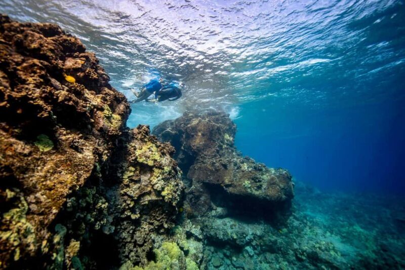Fujairah: Snorkeling Trip with Equipment - The Sum Up