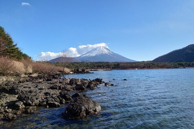 Fuji 5 Lakes Forest Bathing - Key Points