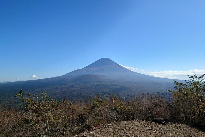 Fuji 5 Lakes Forest Bathing - Exploring the Fuji 5 Lakes Forest Bathing Tour