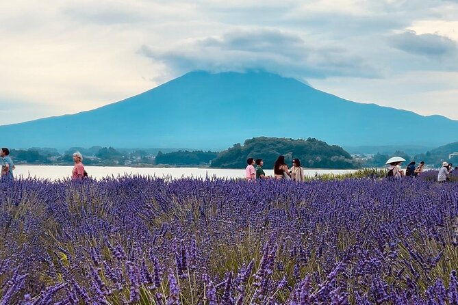 fuji-and-hakone-private-tour-with-english-guide-and-photography