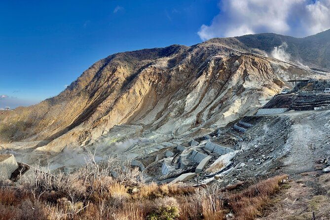 fuji-and-hakone-private-tour-with-english-guide-and-photography