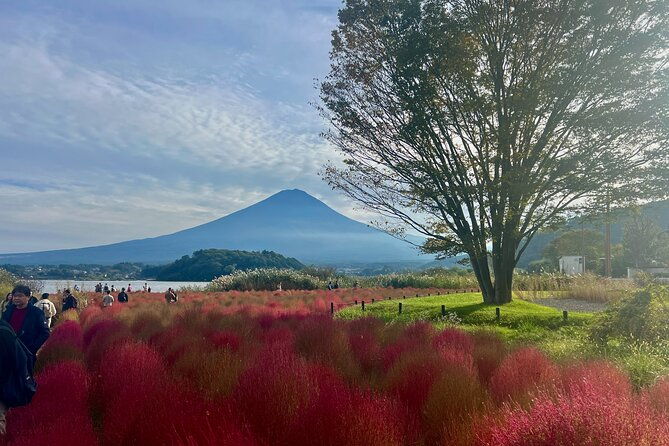 fuji-and-hakone-private-tour-with-english-guide-and-photography