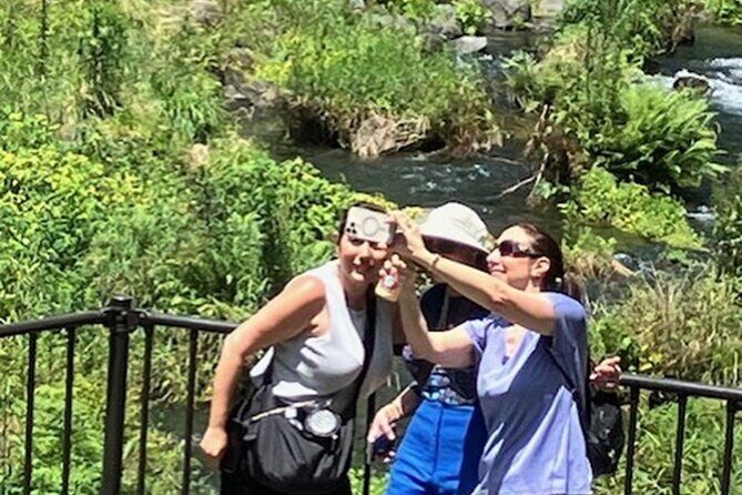 Fuji Area Cultural Highlights Day Tour from Shimizu Port by Car - Deep Dive into the Experience