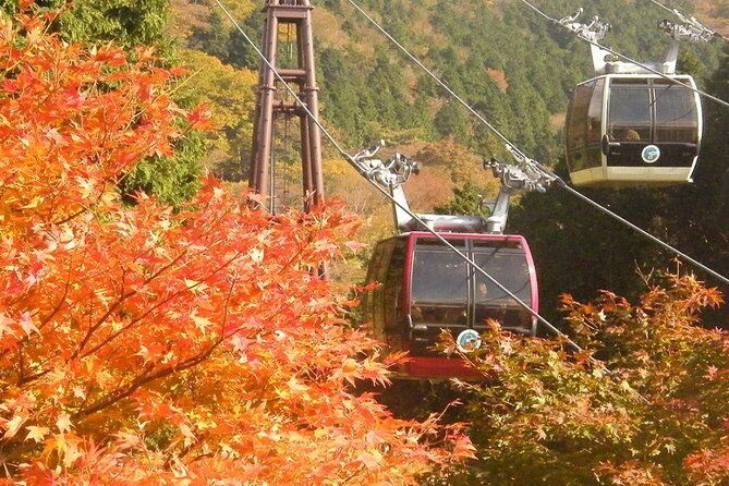 fuji-day-trip-to-hakone-pirate-boat-ropeway-gotemba-outlets