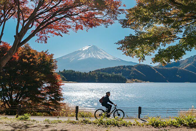 Fuji Five Lakes Guided Day Trip - What to Expect from the Fuji Five Lakes Guided Day Trip