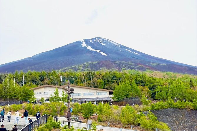 fuji-hakone-cherry-blossom-private-tour