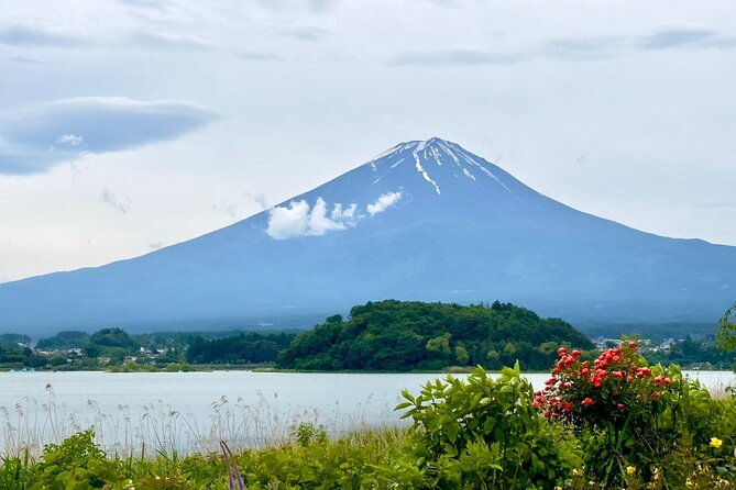 fuji-hakone-cherry-blossom-private-tour