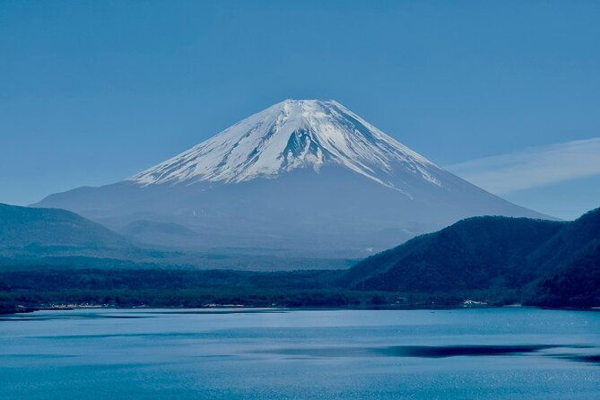 fuji-hakone-cherry-blossom-private-tour