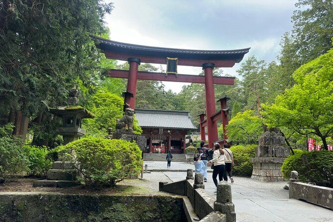 fuji-hakone-cherry-blossom-private-tour