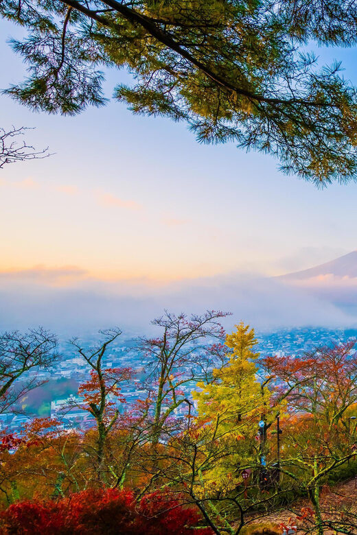 Fuji/Hakone Private Tour, English speaking guide, Photograph - Practical Tips for Making the Most of Your Day
