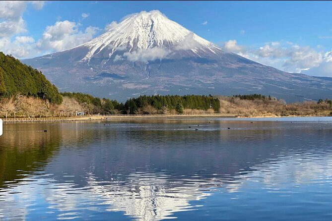Fuji Highlights Group Car Tour by Shimizu Port with Local Guide - Key Points