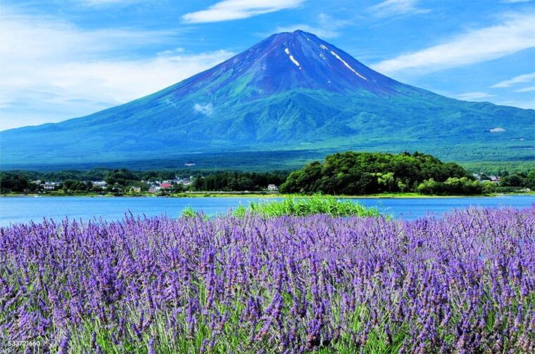 fuji-kawaguchiko-hot-spring-wind-ice-cave-adventure-day