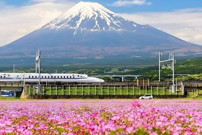 Fuji-Q Highland Amusement Park Private Tour with English Driver - The Value of the Private Tour Experience