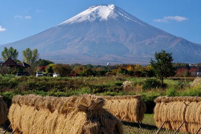 fuji-speedway-self-drive-mt-fuji-private-tour-pickup-on-lexus