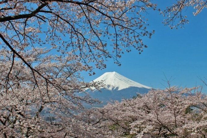 fuji-speedway-self-drive-mt-fuji-private-tour-pickup-on-lexus