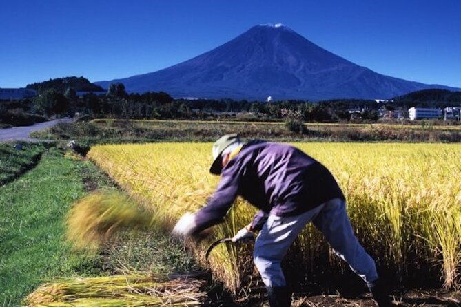 fuji-speedway-self-drive-mt-fuji-private-tour-pickup-on-lexus