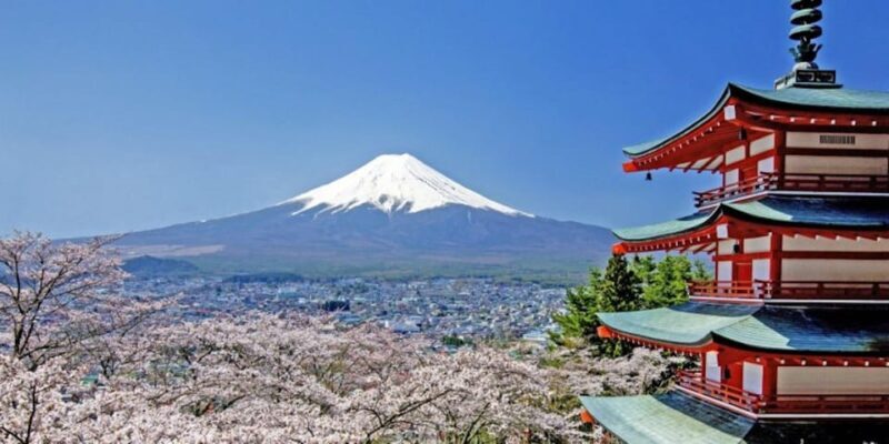 Fuji Speedway Self Drive & Mt. Fuji Private Tour - Practical Details and Value