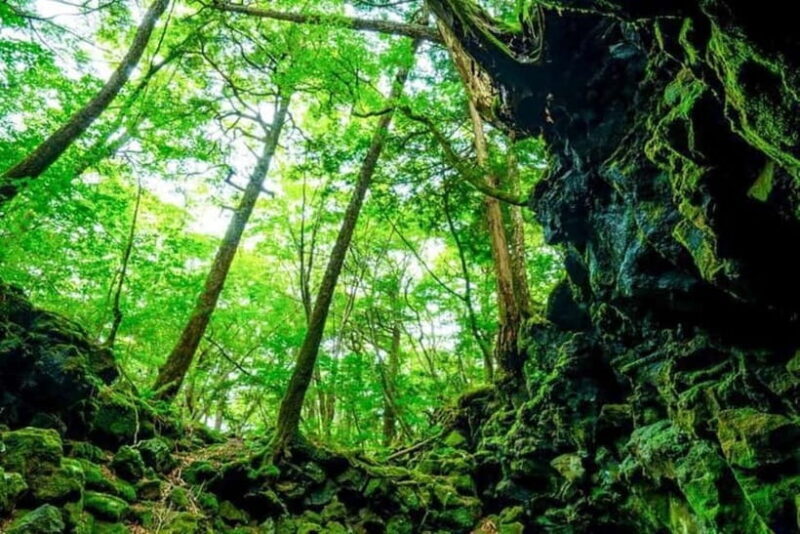 Fuji Spiritual Private Tour with Lunch and Dinner - Authentic Insights and Personalization