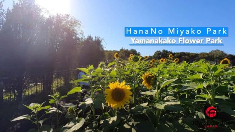 Fuji Yamanaka Lake. Oshino Hakkai and Local Noodles - Discovering Japan’s Rural Charm