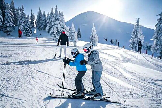 fujiyama-snow-resort-yeti-winter-ski-day-tour-from-tokyo-japan