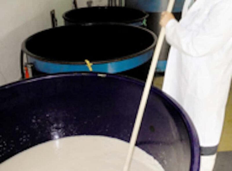 Fukui City: Funaki Sake Brewery Tour and Tasting - Practical Details and Logistics