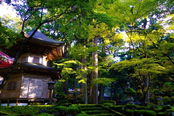 Fukui: Eiheiji Temple and the Heart of Zen Buddhism - Why This Tour Is Worth Your Time