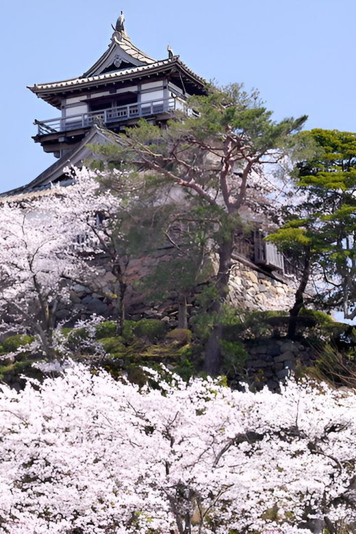 fukui-maruoka-castle-admission-ticket