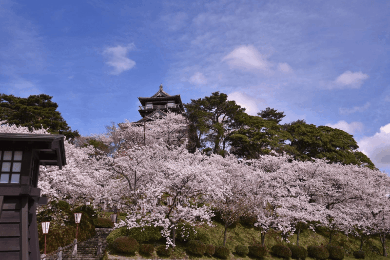 fukui-maruoka-castle-admission-ticket