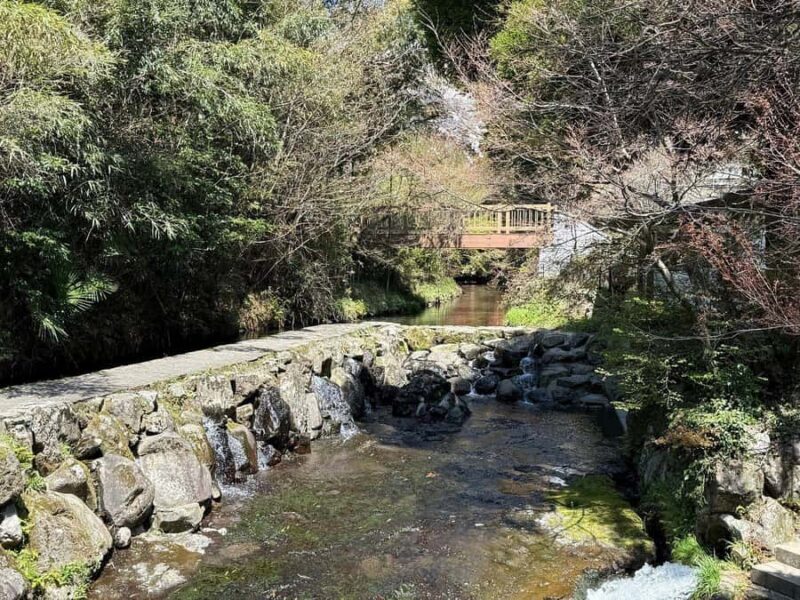 Fukuoka: 2-Day Kysh Onsen & Mt. Aso -Volcano Escape Tour - Frequently Asked Questions