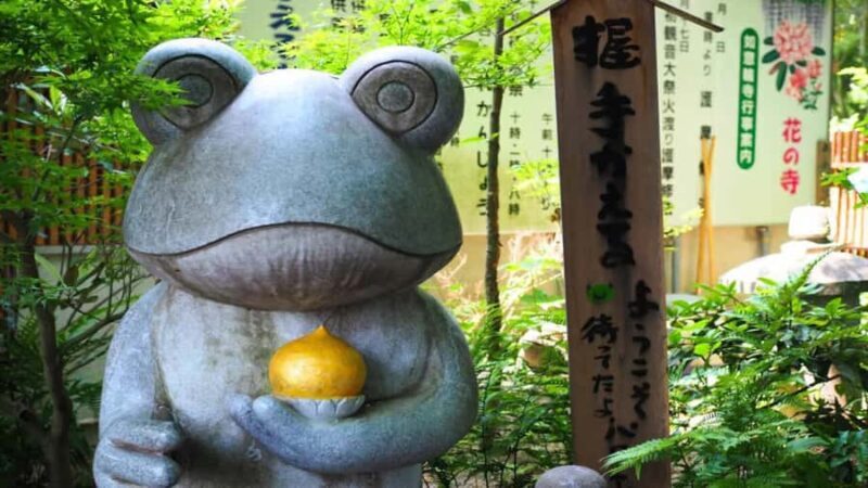 Fukuoka: Beppu Hells HotSpring, Frog Temple & Yufuin DayTrip - Exploring the Kyushu Charm: Beppu Hot Springs, Frog Temple & Yufuin DayTrip