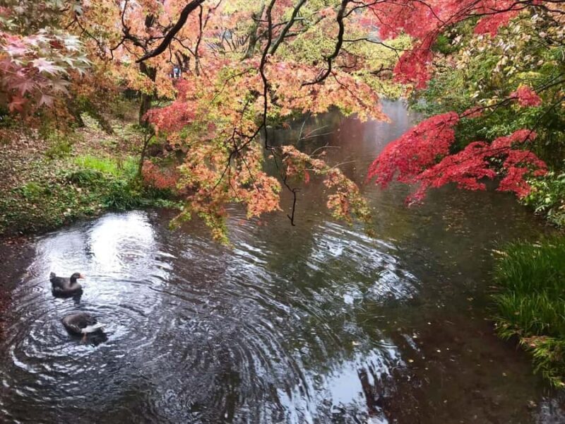 Fukuoka: Beppu Hells HotSpring, Frog Temple & Yufuin DayTrip - Who Will Enjoy This Tour?